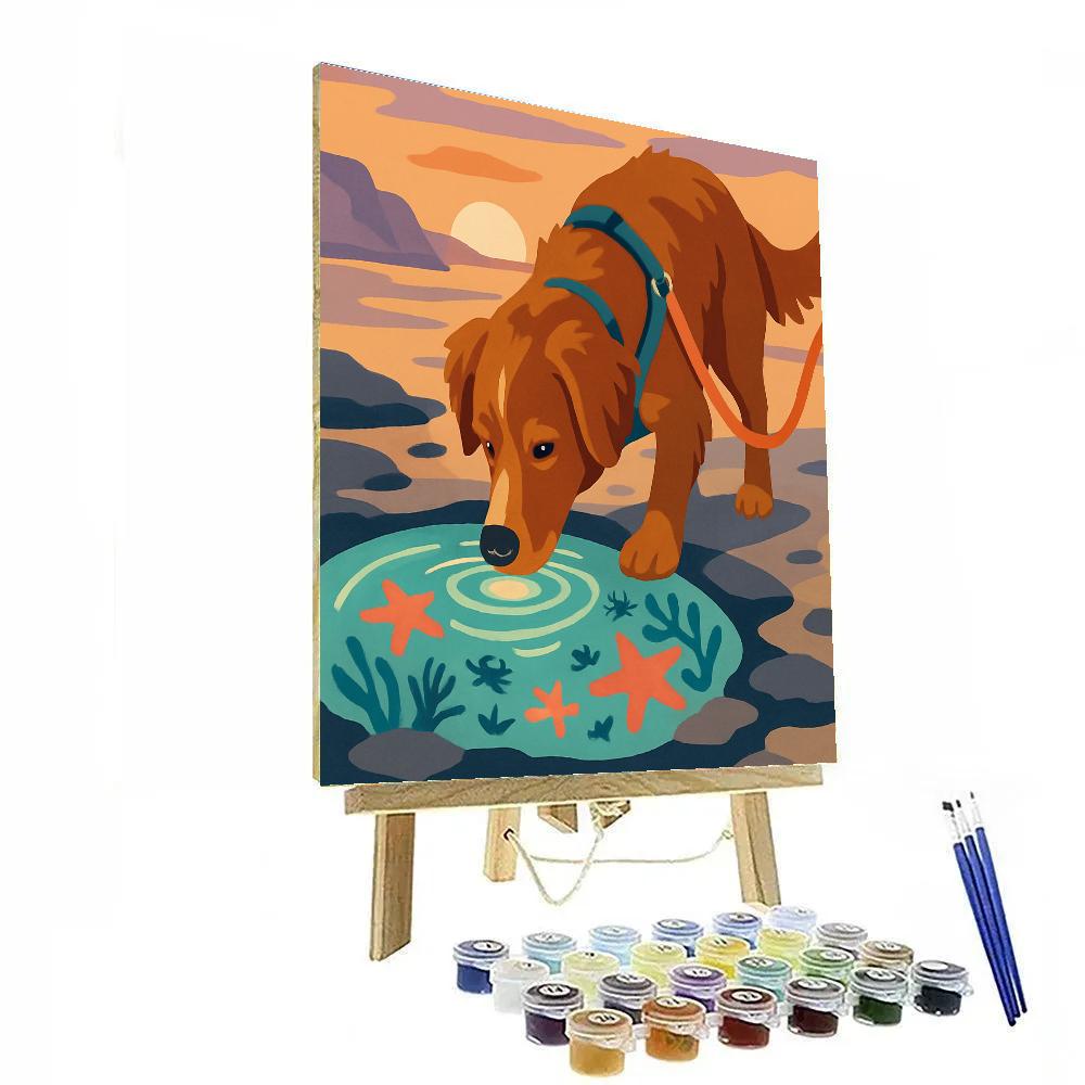 Tidepool Explorer Dog DIY paint by numbers