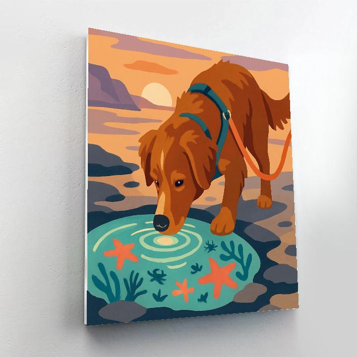 Tidepool Explorer Dog DIY paint by numbers