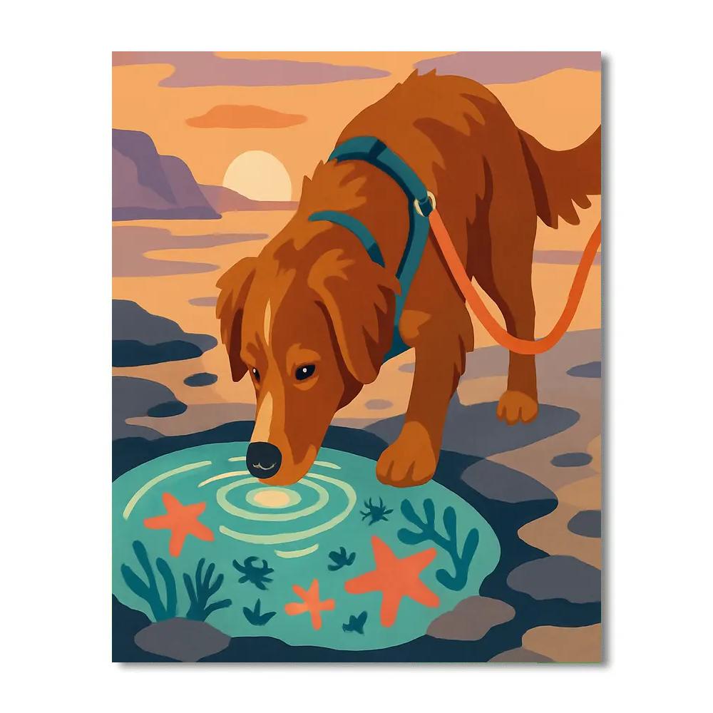 Tidepool Explorer Dog DIY paint by numbers