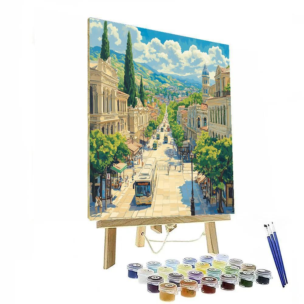 Mountain Framed Avenue At Liberty Square View Tbilisi Georgia DIY paint by numbers