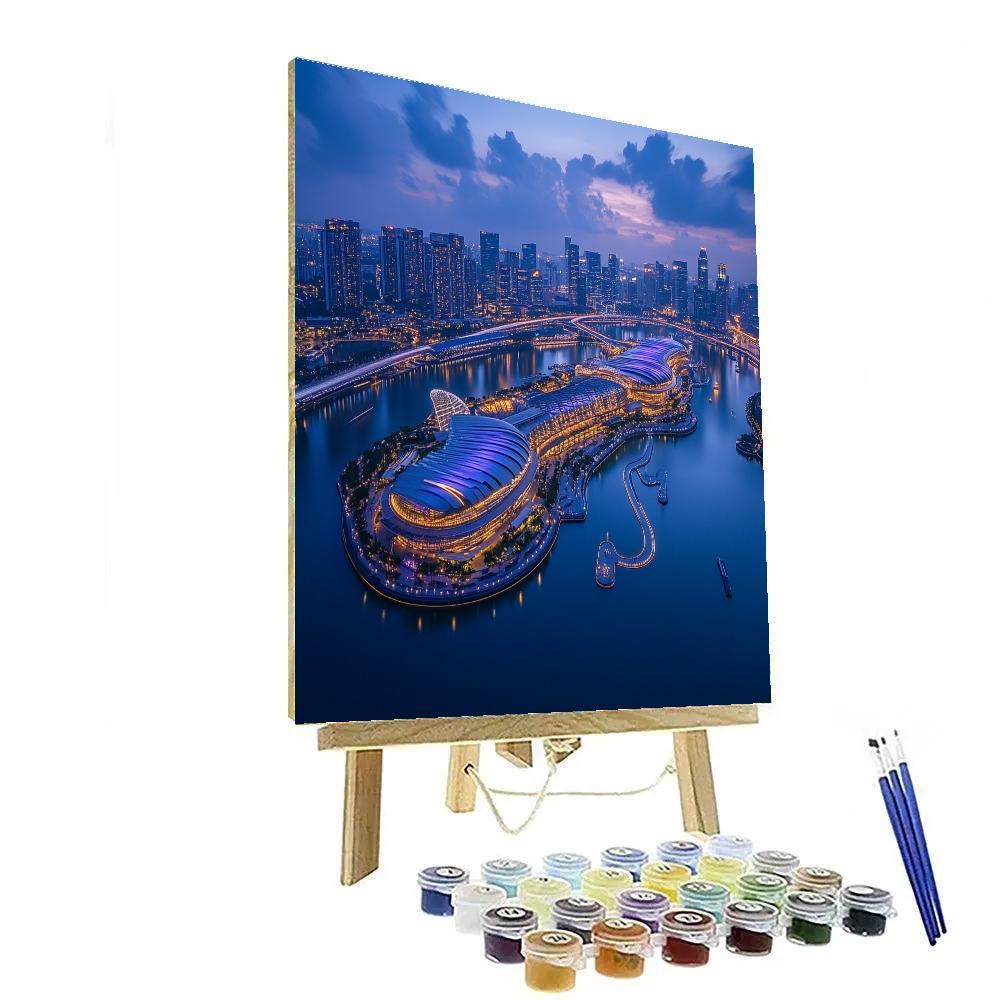 Aerial View Of Marina Bay Sands And Waterfront Singapore Painting by numbers kit