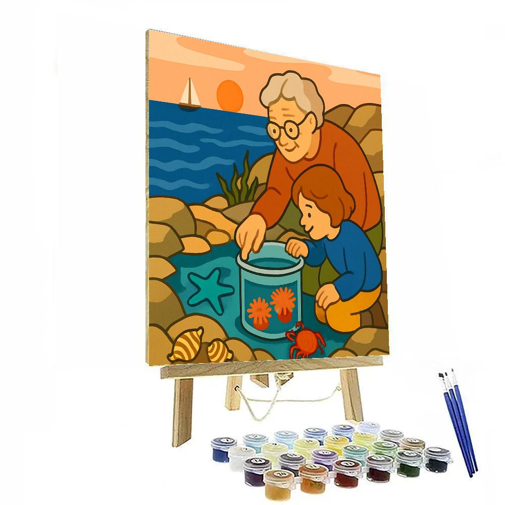 Beach Tidepool Observatory Painting by numbers kit