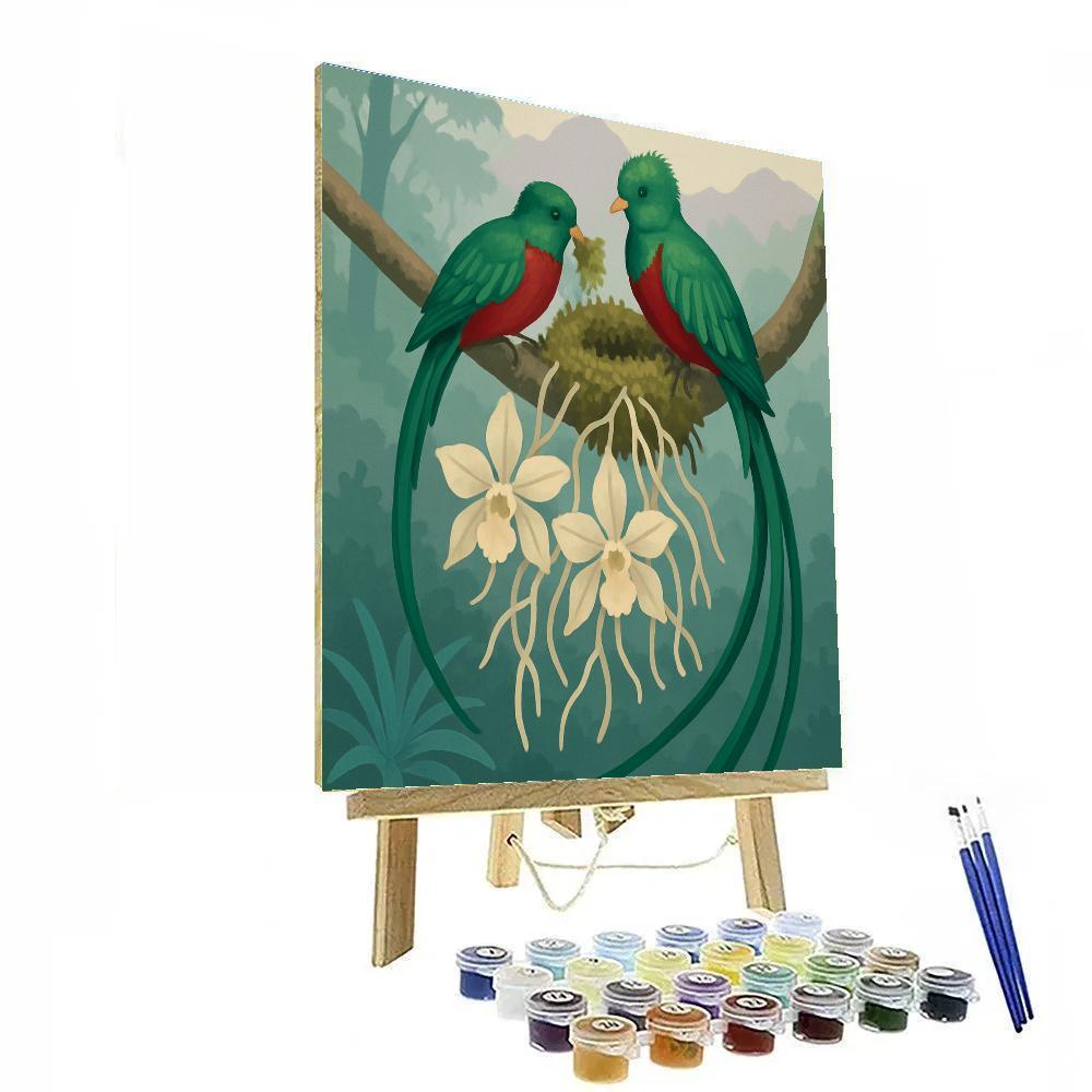 Glasswing Nesting Birds At The Orchid Canopy DIY paint by numbers