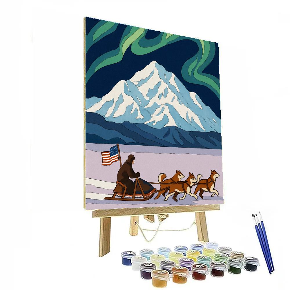 USA Aurora Run Over Denali Paint by numbers art