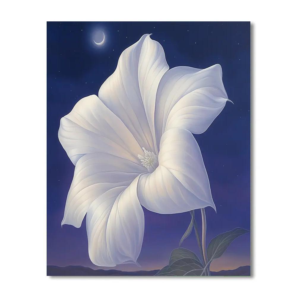 Georgia O Keeffe Inspired Moonlit White Datura And Indigo Sky Number painting
