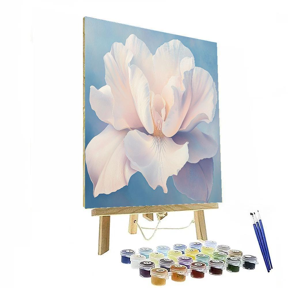 Georgia O Keeffe Inspired Orchid Closeup In Morning Light Paint by numbers art