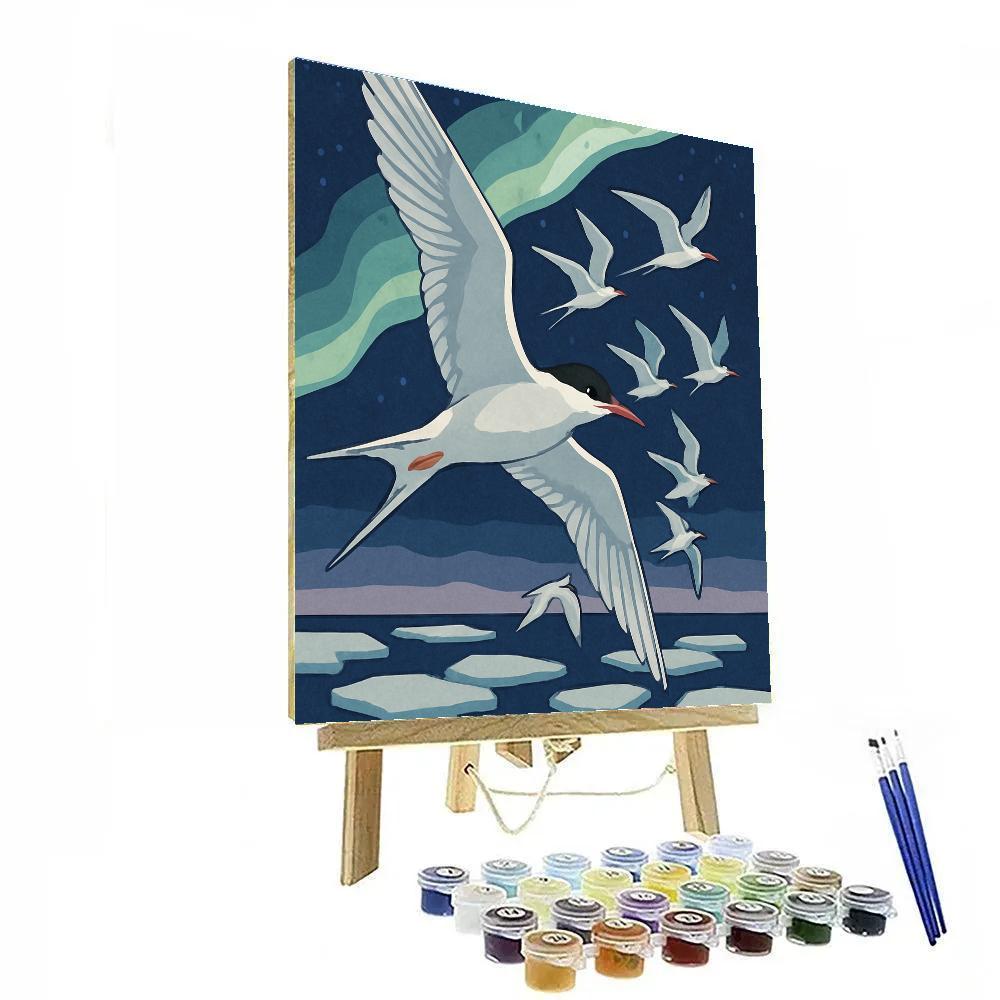 Aurora Guided Migration With Birds painting number kit
