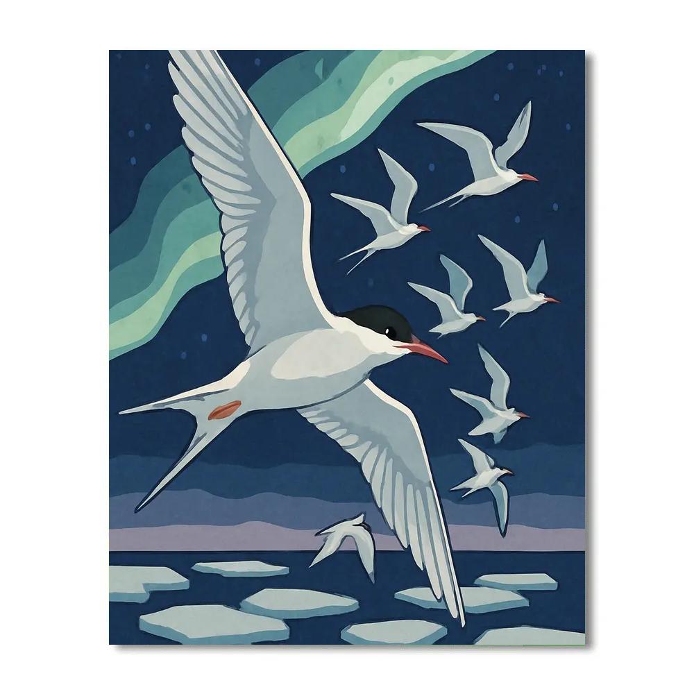 Aurora Guided Migration With Birds painting number kit