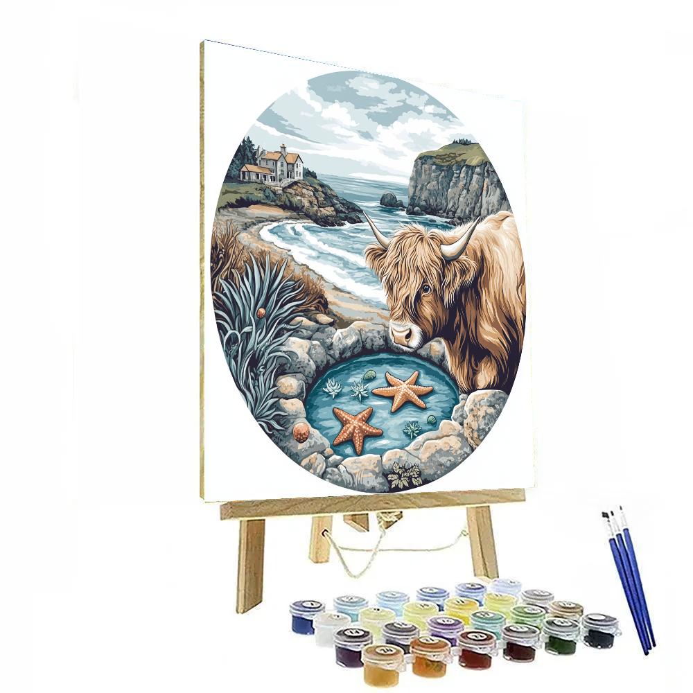 Seaside Rock Pool Highland Cow Explorer Numbered painting kits