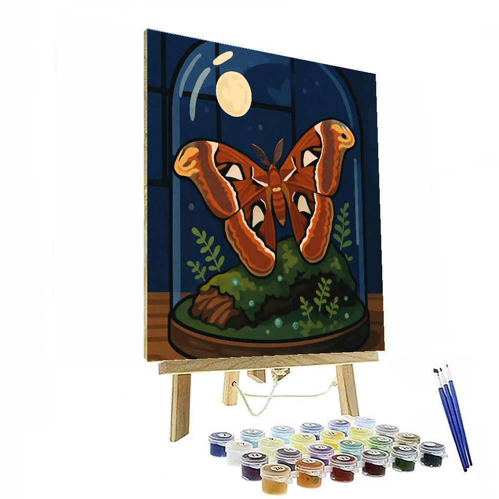 Moonlit Terrarium Butterfly Atlas Numbered painting kits