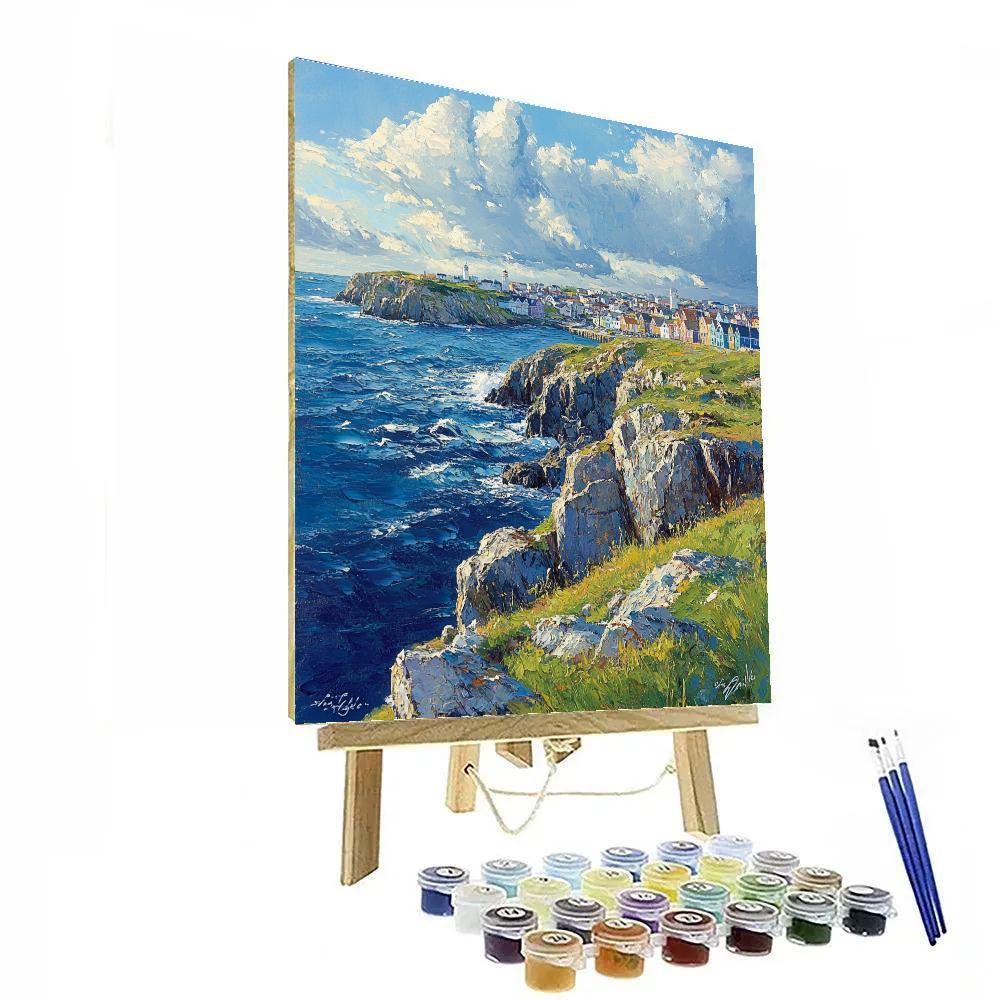 Rocky Shoreline And City Cliffs At Signal Hill St Johns Canada paint by numbers