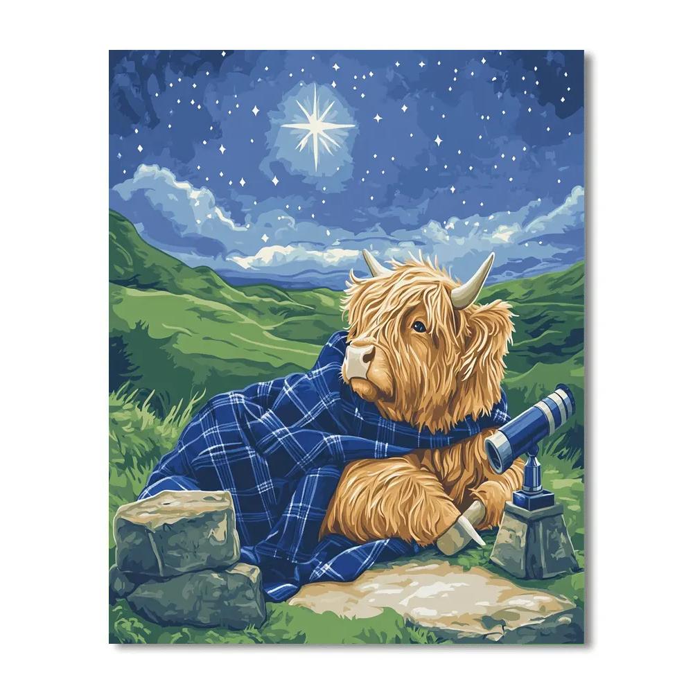 Stargazer Blanket Highland Cow Paint by numbers art