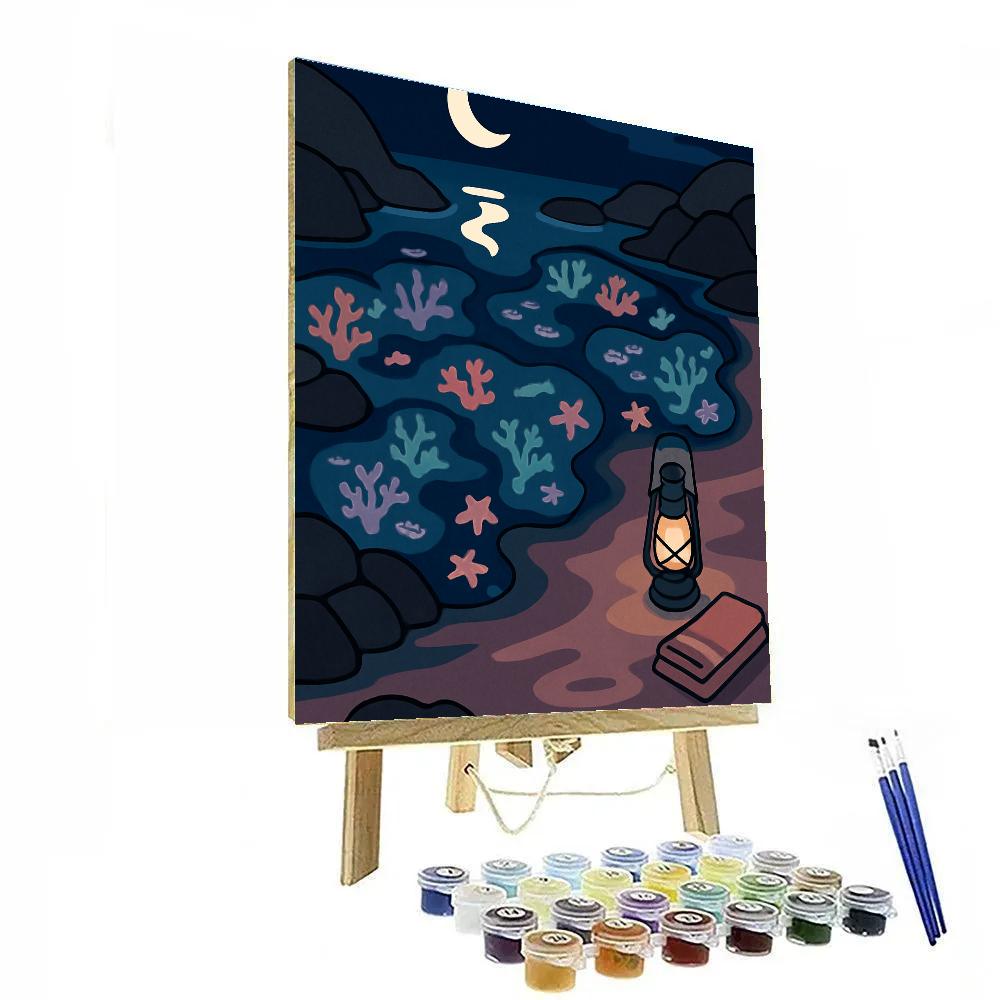 Moonlit Tidepool Beach Dreamscape Numbered painting kits