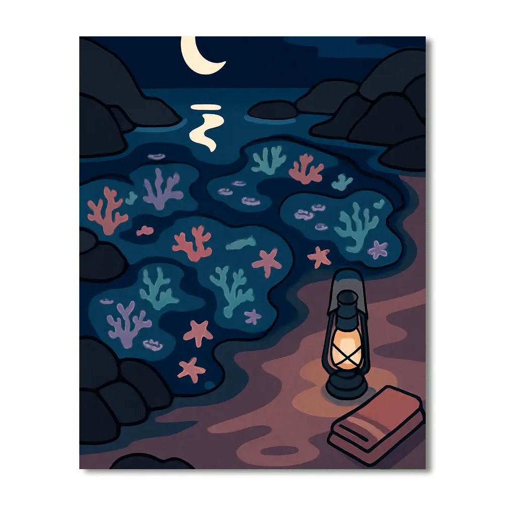 Moonlit Tidepool Beach Dreamscape Numbered painting kits