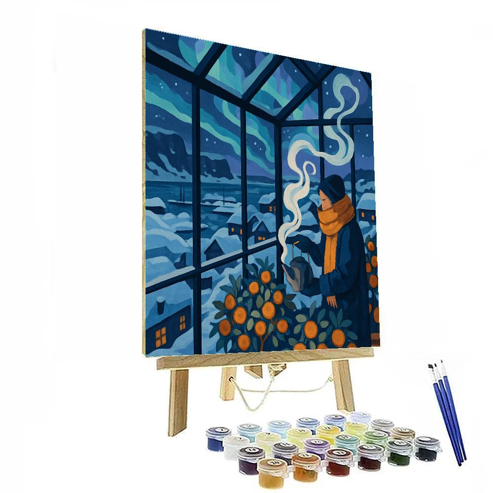 Glasshouse Under Winter Aurora Numbered painting kits