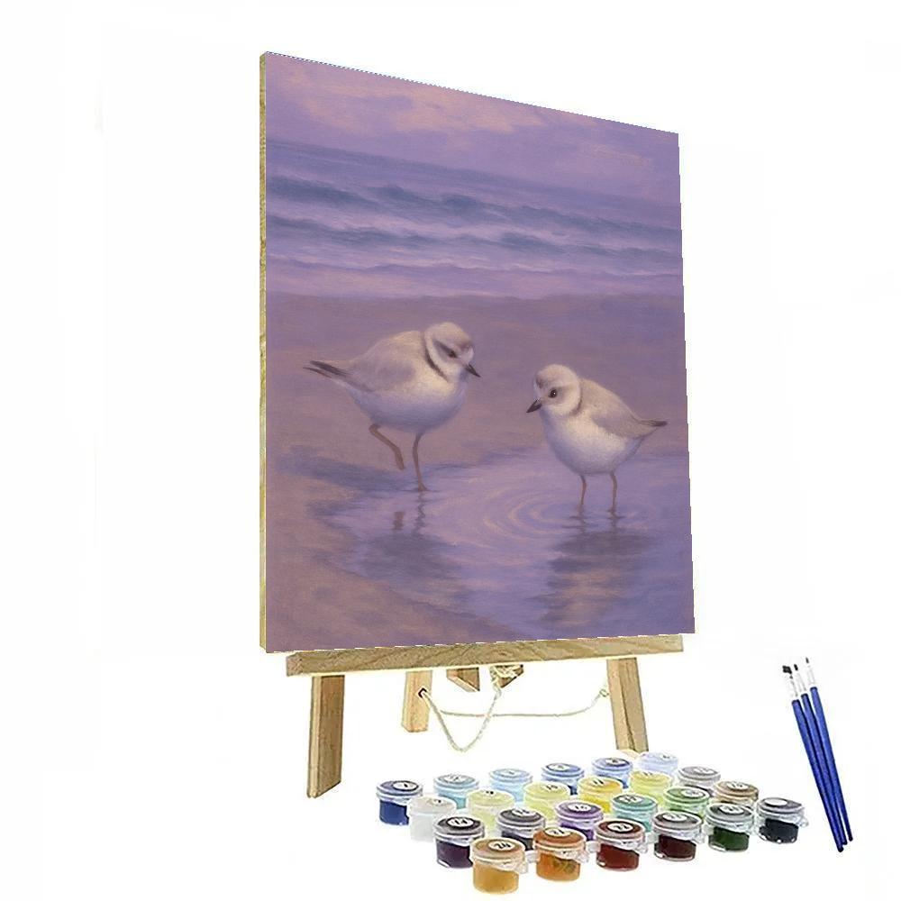 Seaside Dusk With Plovers And Tide Pools Numbered painting kits