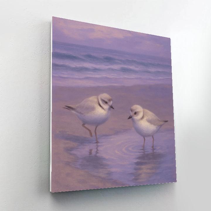 Seaside Dusk With Plovers And Tide Pools Numbered painting kits