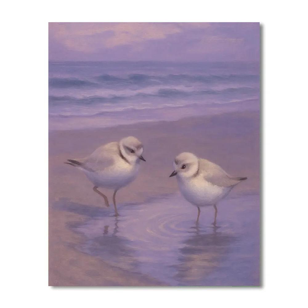 Seaside Dusk With Plovers And Tide Pools Numbered painting kits