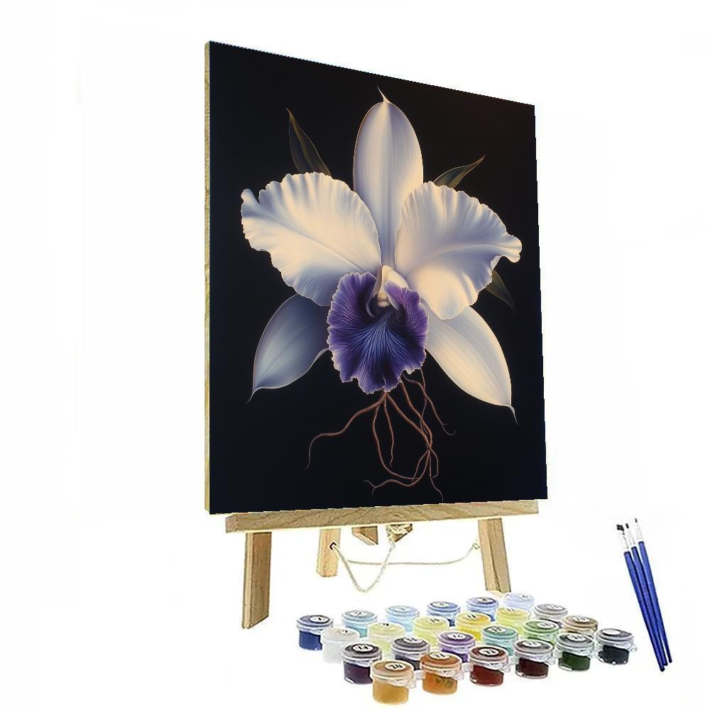 Caravaggio Inspired Nebula Orchid Numbered painting kits