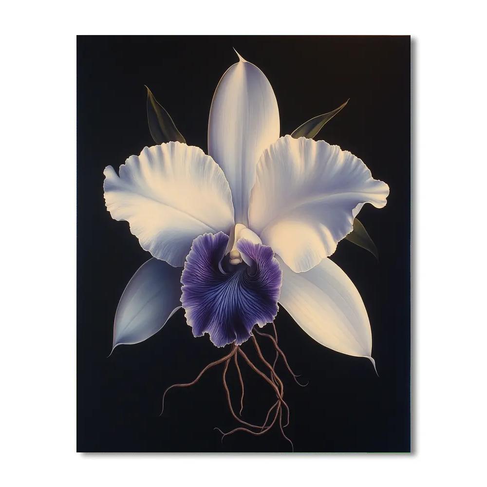 Caravaggio Inspired Nebula Orchid Numbered painting kits