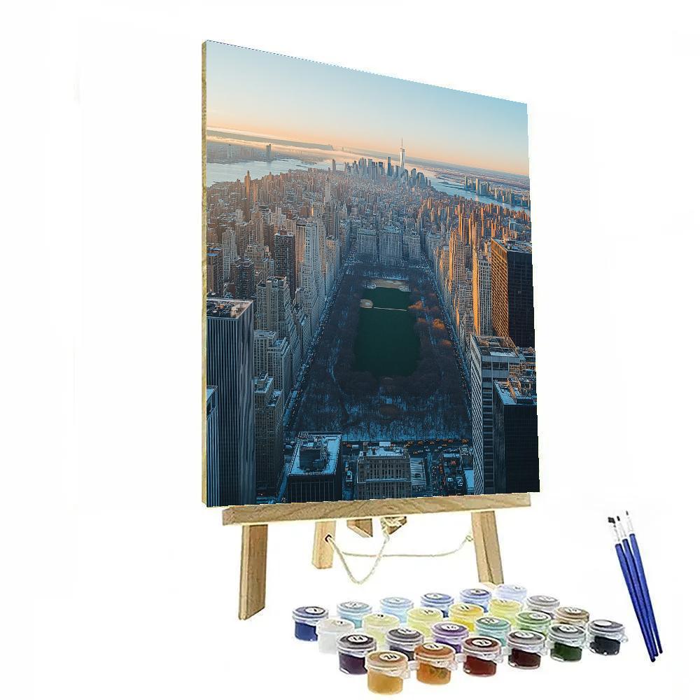 Top Of The Rock View Over Central Park New York City United States paint by number