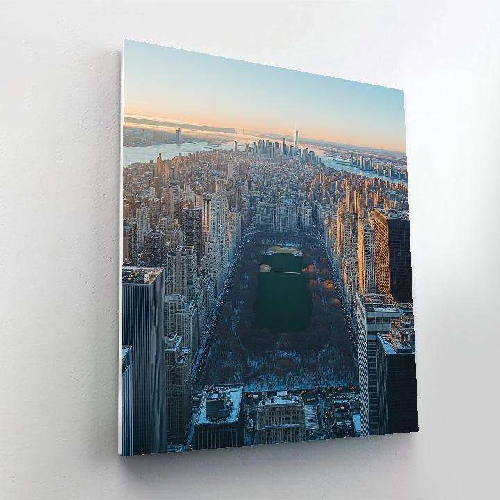 Top Of The Rock View Over Central Park New York City United States paint by number