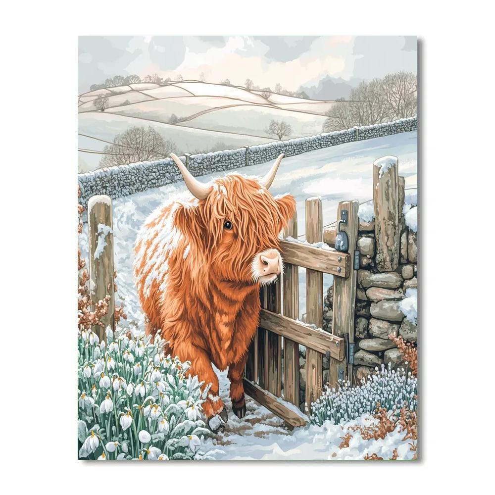 Highland Cow Snowdrop Gate DIY paint by numbers