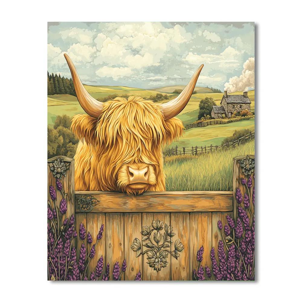 Highland Cow Meadowgate Postcard Numbered painting kits