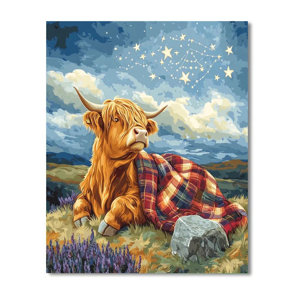 Stargazer Blanket Highland Cow Paint by numbers kits