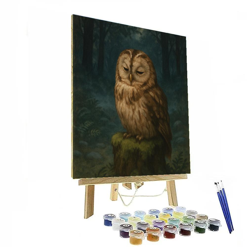 Moonlit Owl In The Fern Clearing painting number kit