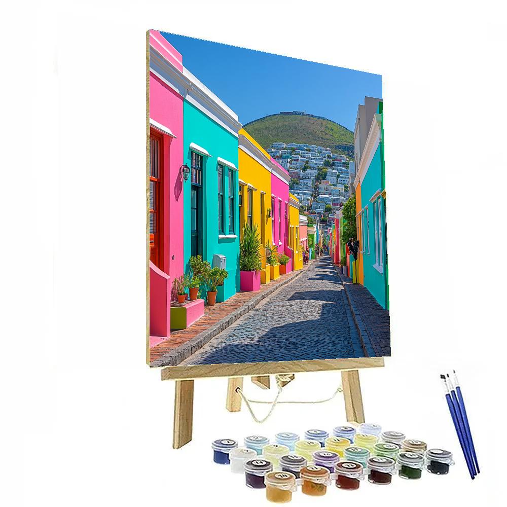 Bo Kaap Color Streets Cape Town South Africa paint by color