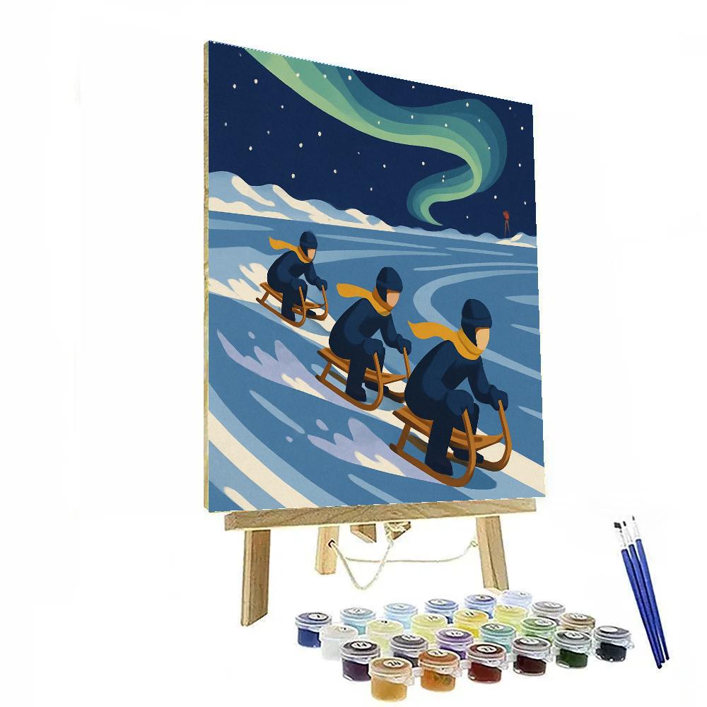 Winter Crafted Aurora Sled Rally Painting by numbers kit
