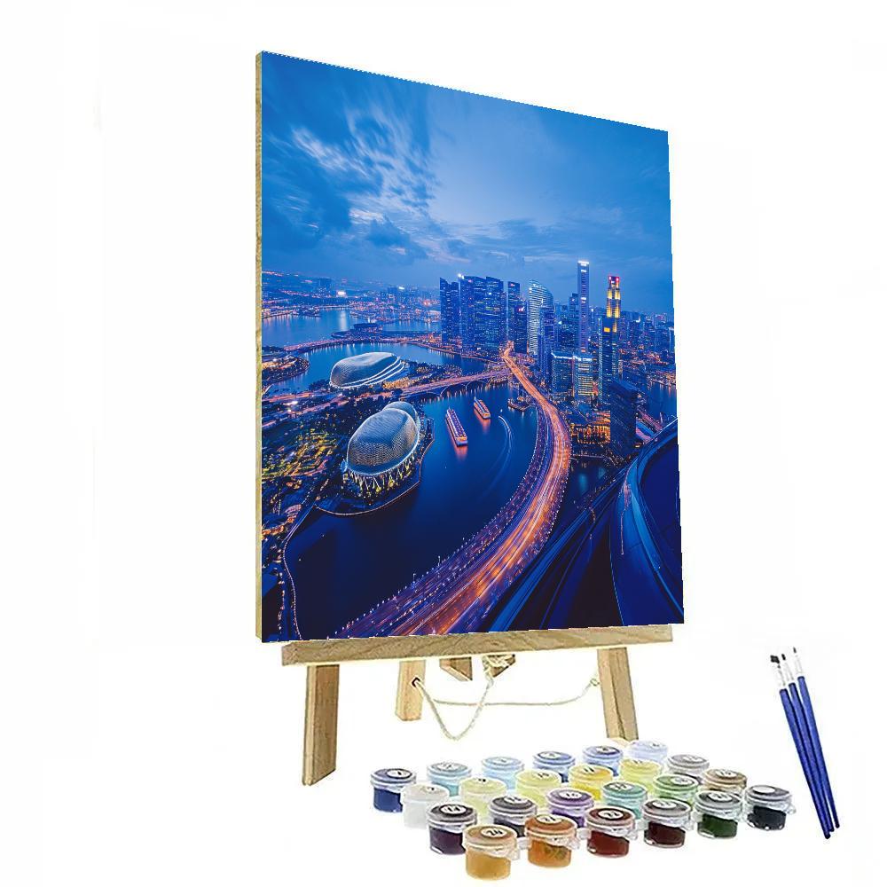 Sky Garden View From Marina Bay Sands Singapore painting number kit