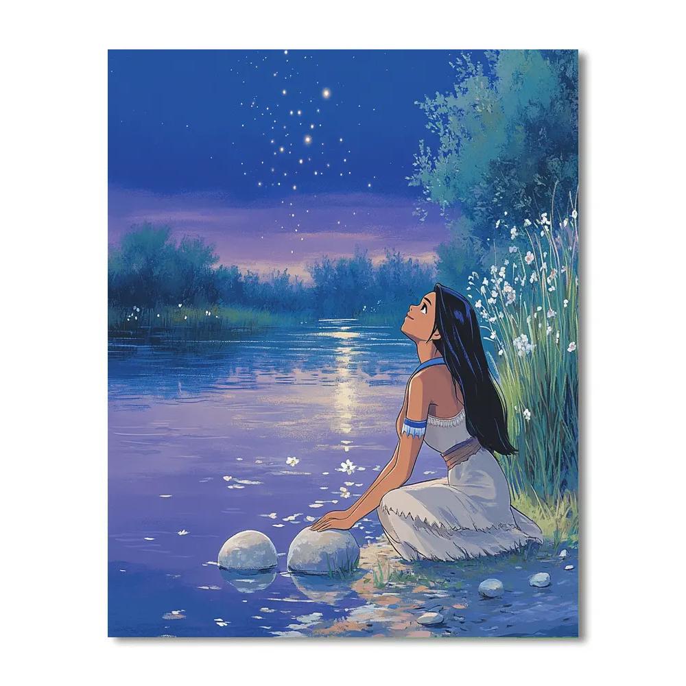 Pocahontas River Stone Stargaze Disney Inspired Paint by numbers kits