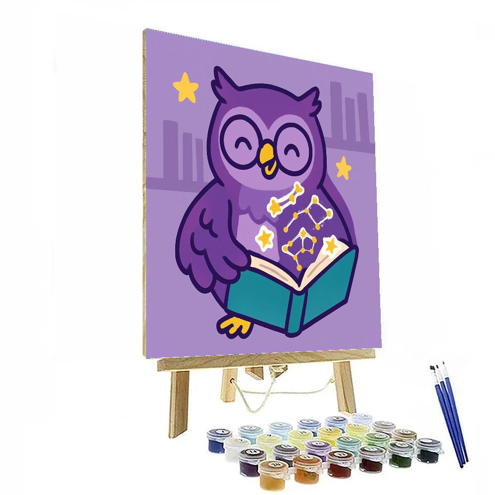 Nebula Library Owl And The Constellation Book Paint by numbers art
