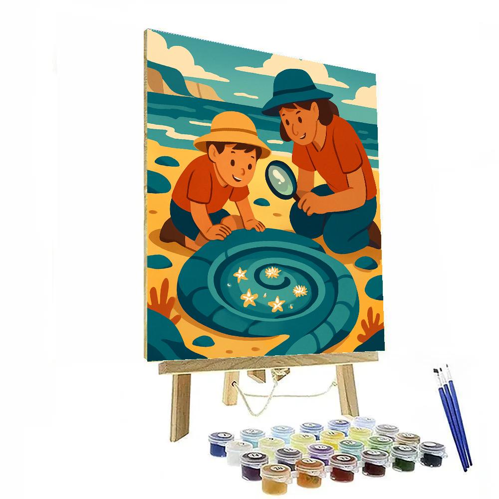 Beach Tidepool Observatory Numbered painting kits