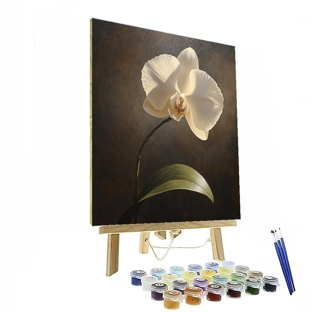 Caravaggio Inspired Nebula Orchid Nocturne painting number kit