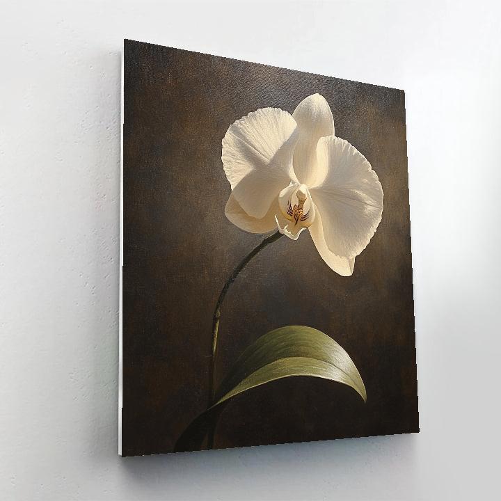 Caravaggio Inspired Nebula Orchid Nocturne painting number kit