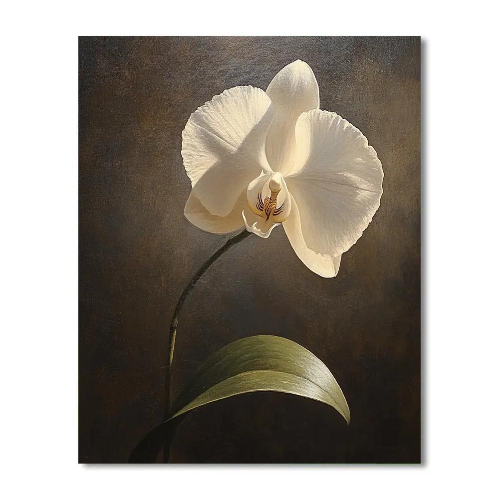 Caravaggio Inspired Nebula Orchid Nocturne painting number kit