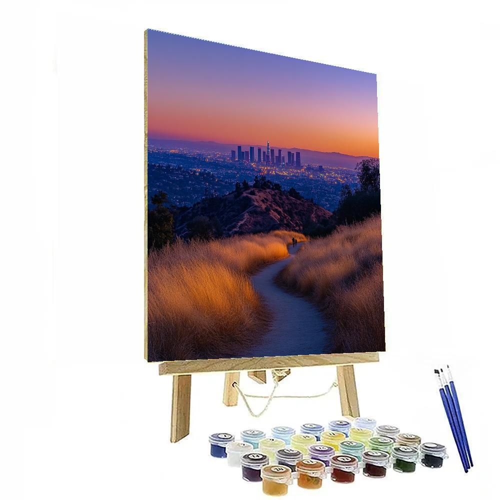 Foggy Skyline From Griffith Observatory Park Los Angeles United States Painting by numbers kit