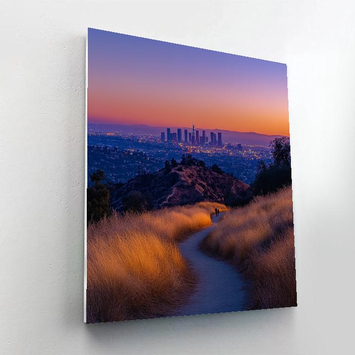 Foggy Skyline From Griffith Observatory Park Los Angeles United States Painting by numbers kit