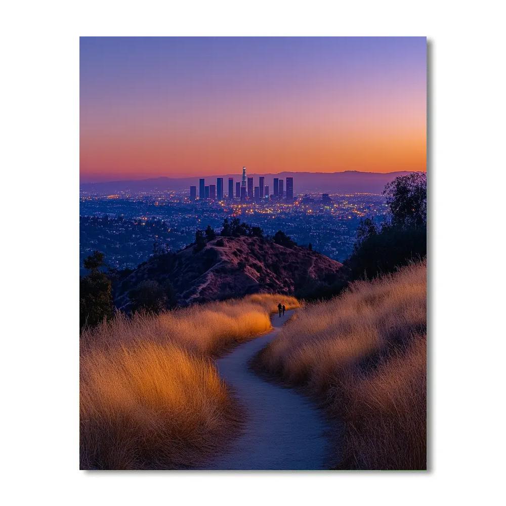 Foggy Skyline From Griffith Observatory Park Los Angeles United States Painting by numbers kit