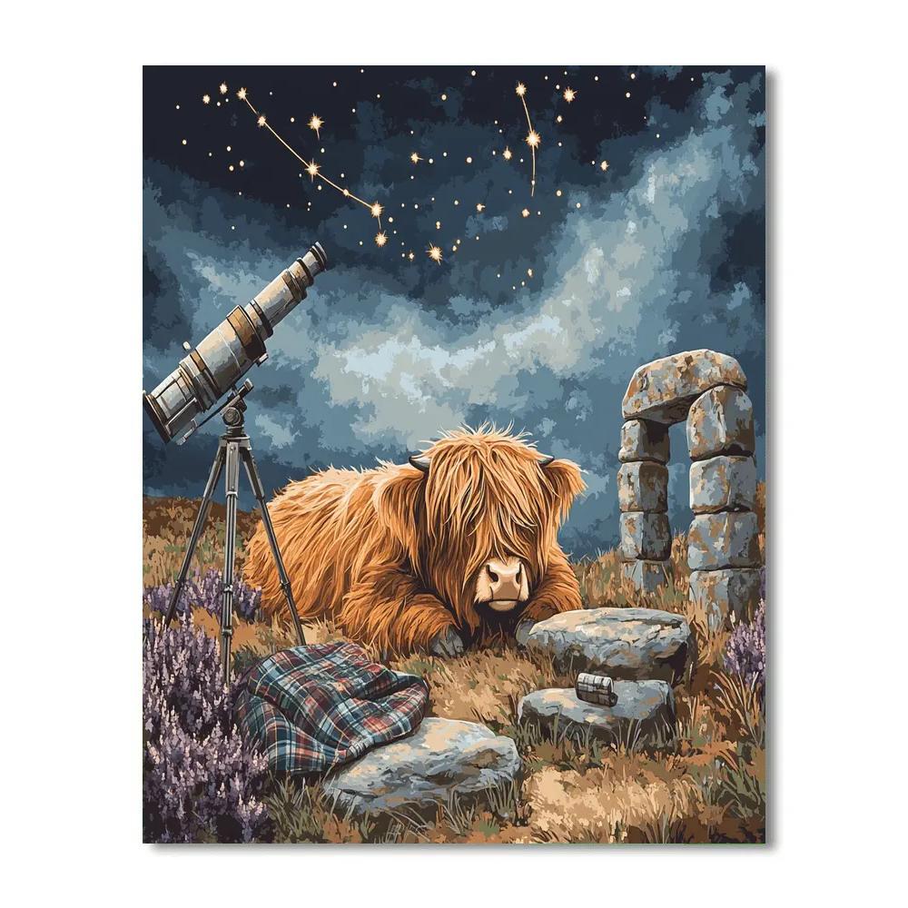 Highland Cow Stargazing By The Stone Circle DIY paint by numbers
