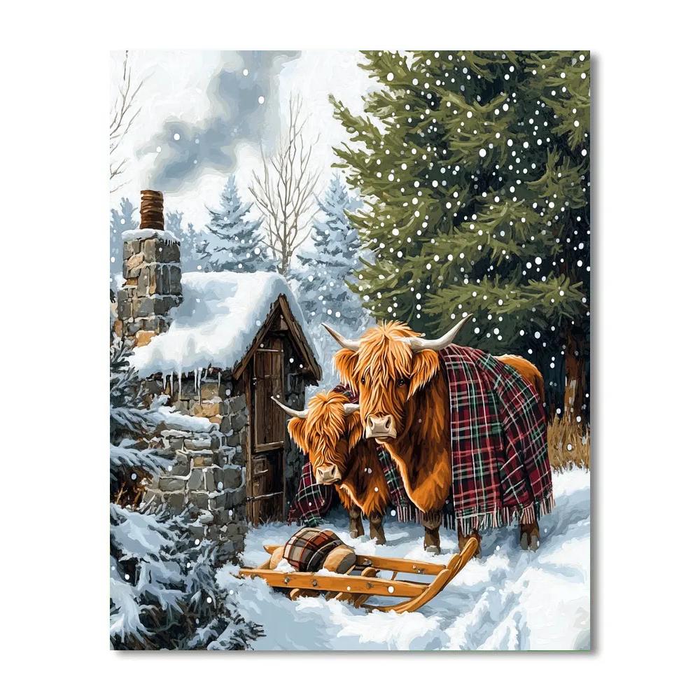 Highland Cow Herd At The Snowy Bothy Number painting
