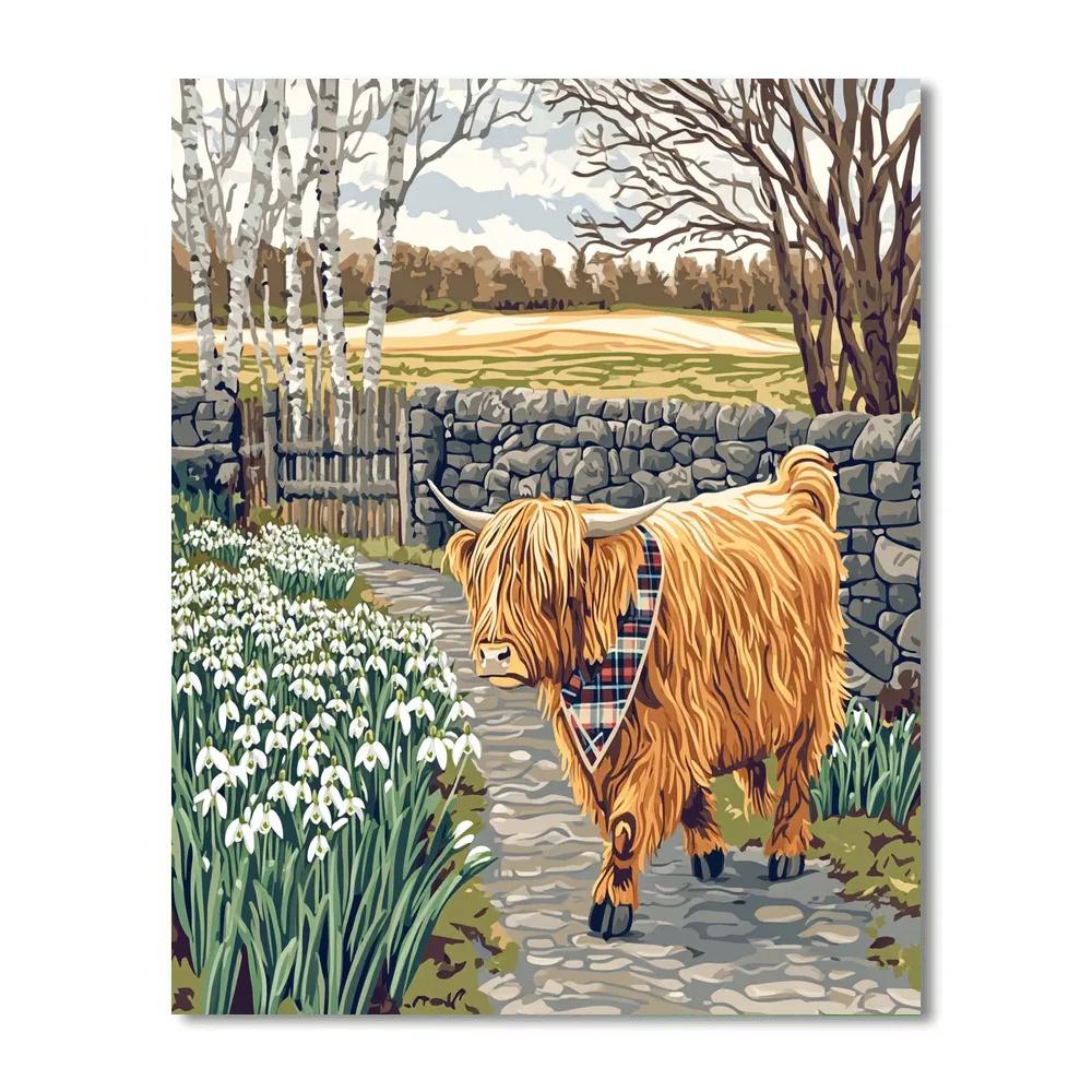 Highland Cow Snowdrop Pathway Stroll Painting by numbers kit