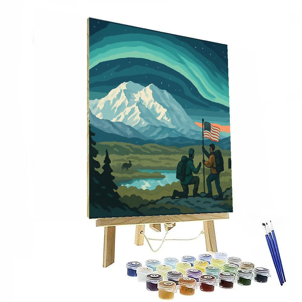 Denali Overlook With USA Aurora painting number kit