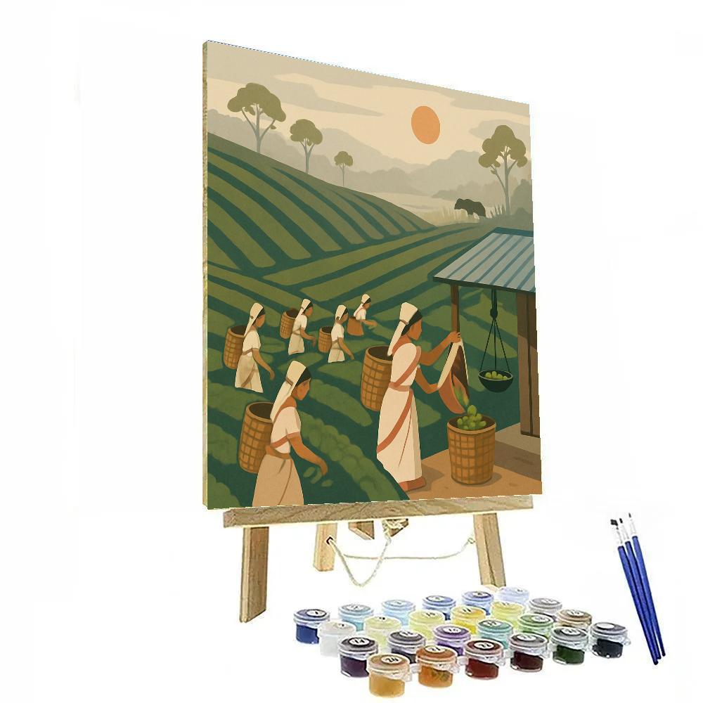 Tea Garden Harvest With India In The Mist paint by numbers