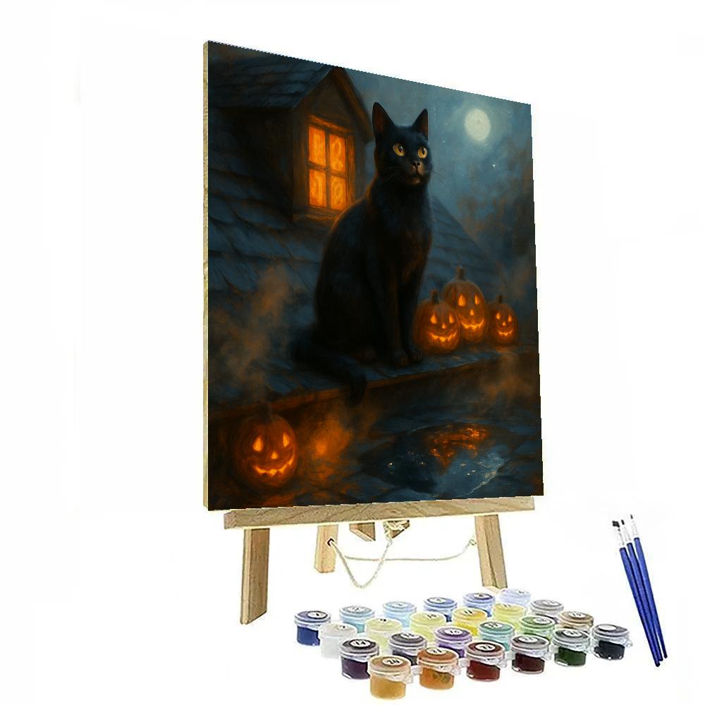 Black Cat Stargazer On The Attic Roof Numbered painting kits