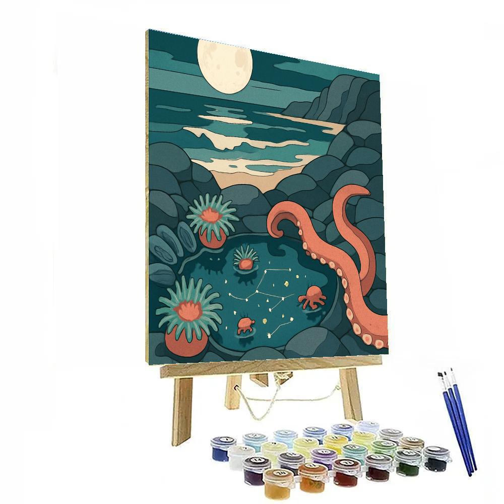 Ocean Tidepool Observatory At Moonrise DIY paint by numbers
