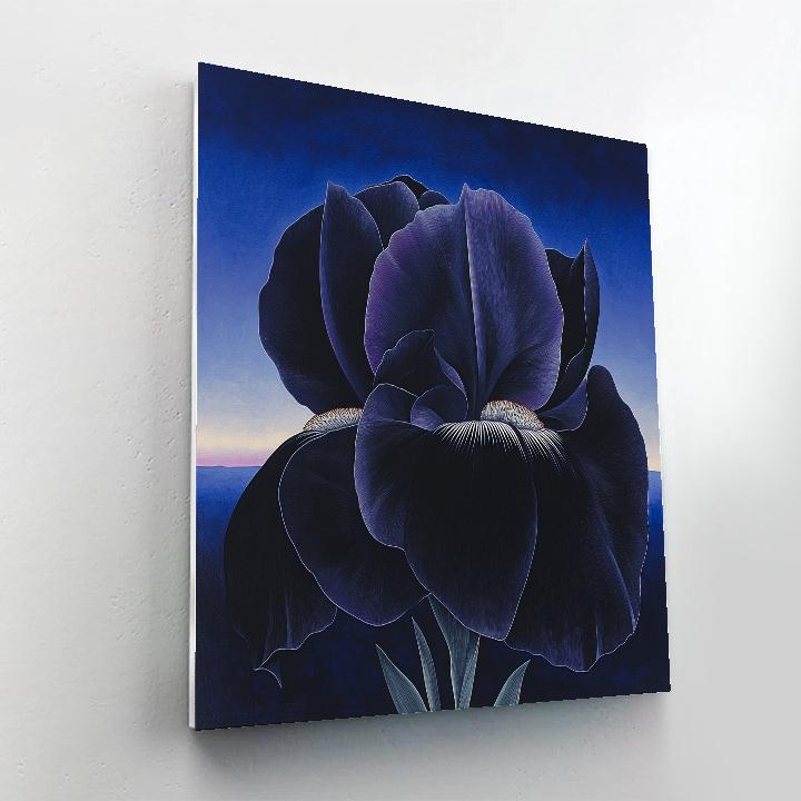 Georgia O’Keeffe Inspired Black Iris And Blue Night Sky Gradient Numbered painting kits